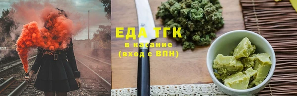 стаф Осинники