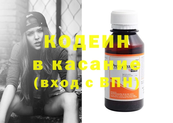 стаф Осинники