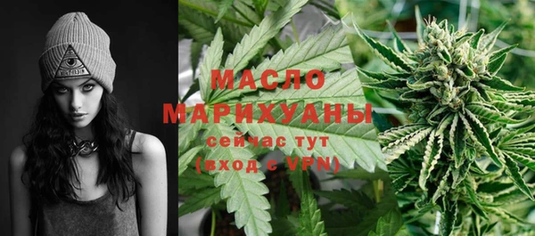стаф Осинники