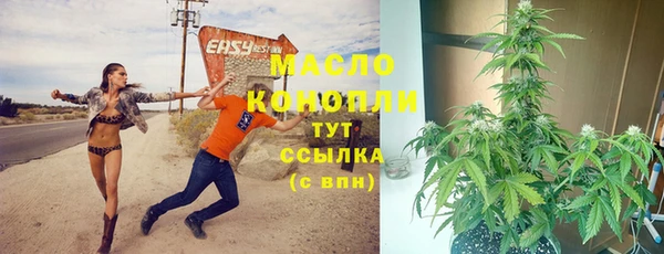 стаф Осинники