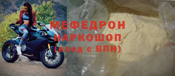 стаф Осинники