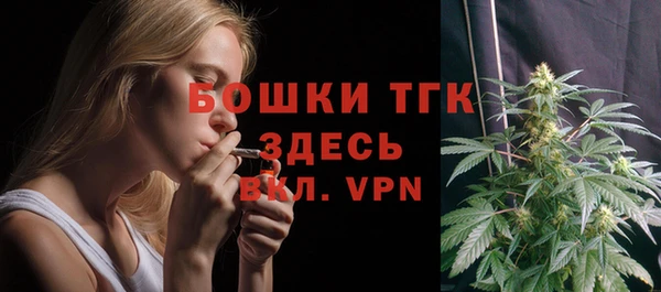 стаф Осинники